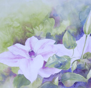 Helen Anne Hillson - Nelly Moser